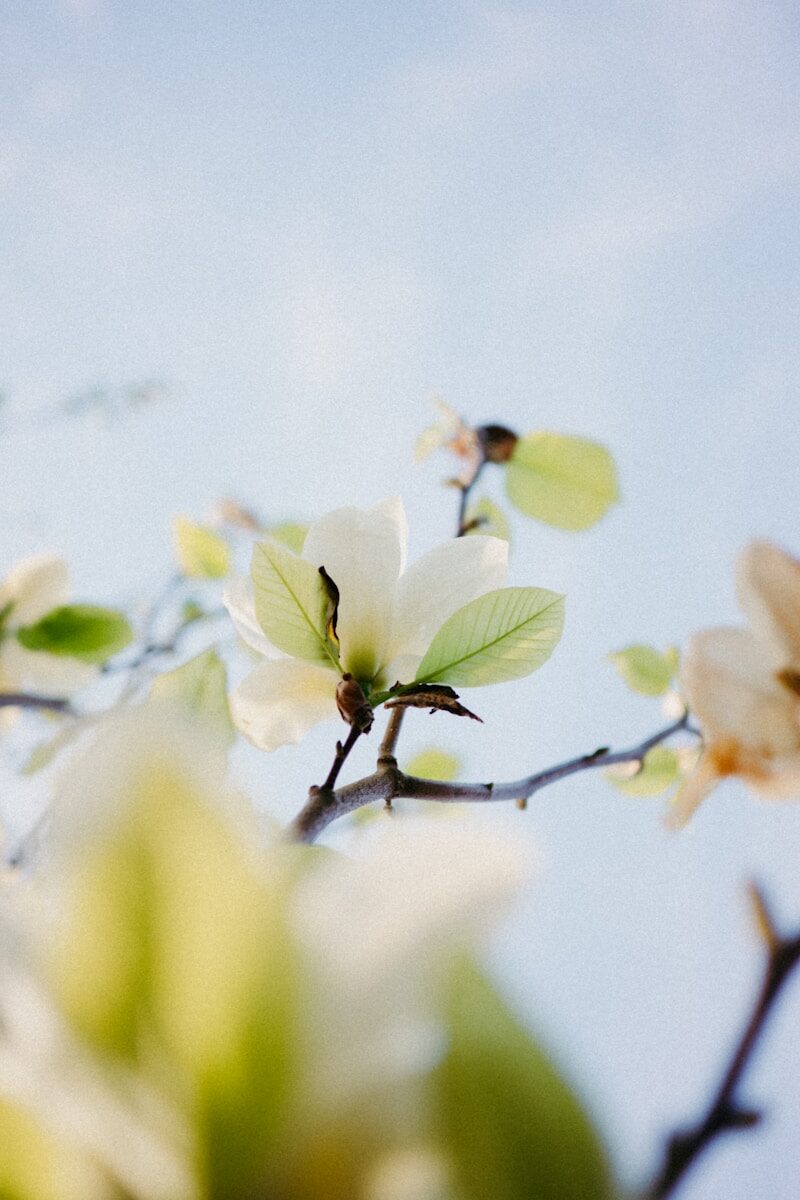 Legal Concepts Unification