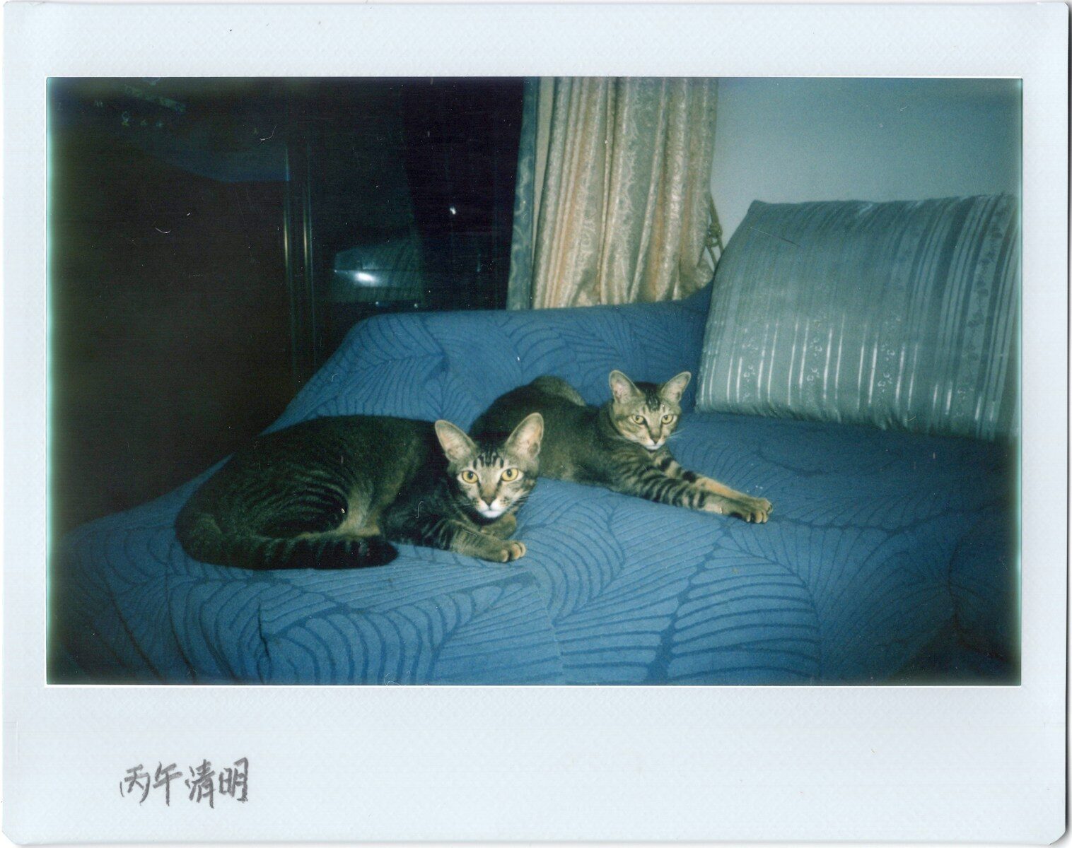 Transnational Law & Digital Evidence